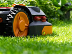 mantenimiento jardines Madrid