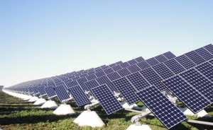 &iquest;Por qu&eacute; elegirnos para desbroce de huertos solares?